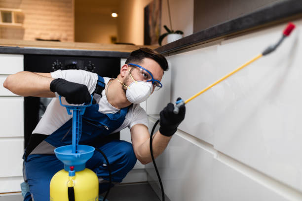 Best Termite Control Services  in Brittany Farms The Highlands, PA