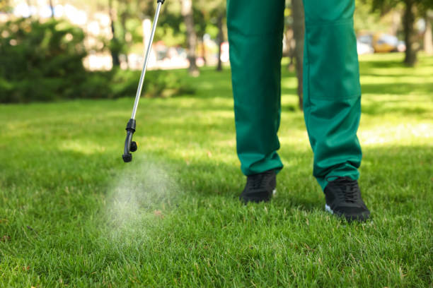 Best Cockroach Control Services  in Brittany Farms The Highlands, PA
