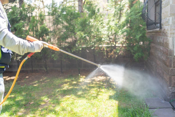 Best Spider Control Near Me  in Brittany Farms The Highlands, PA