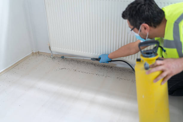 Best Residential Pest Control  in Brittany Farms The Highlands, PA